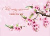 Chúc mừng năm mới